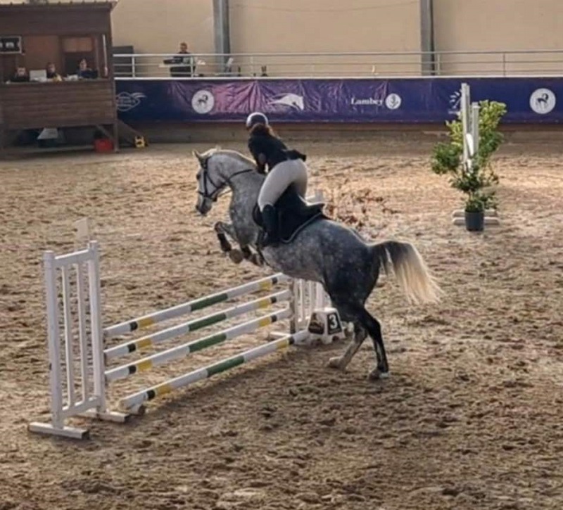 Lire la suite à propos de l’article Saut d’obstacles : Virginie Lucas vise le championnat de France