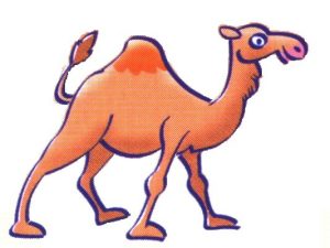 Bulletin municipal Drom 04